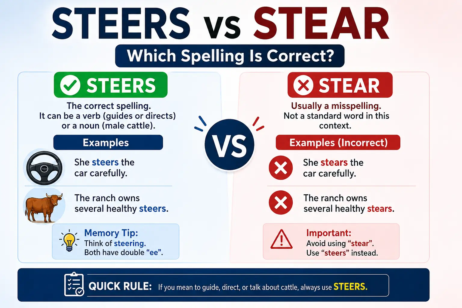 Steers vs Stear: Which Spelling Is Correct and How Should You Use It?