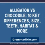 Alligator vs Crocodile: 10 Key Differences, Size, Teeth, Habitat & More