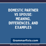 Domestic Partner vs Spouse: Meaning, Differences, and Examples