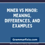 Miner vs Minor: Meaning, Differences, and Examples