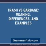Trash vs Garbage: Meaning, Differences, and Examples