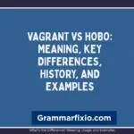 Vagrant vs Hobo: Meaning, Key Differences, History, and Examples
